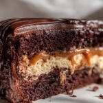 Chocolate Dulce de Leche Cake